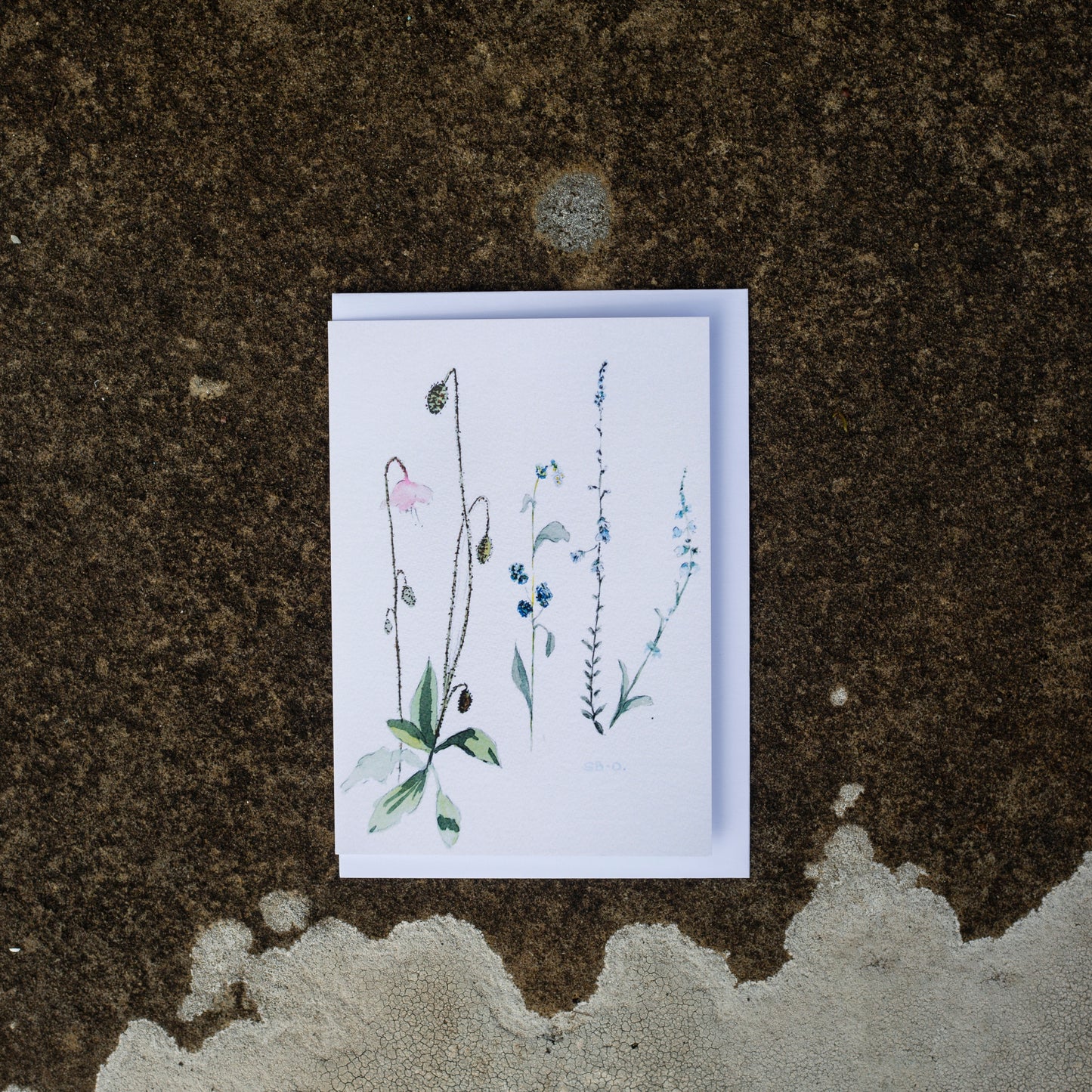Set of 5 mixed Greeting Cards with envelopes