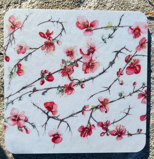 Mixed set of 6 coasters