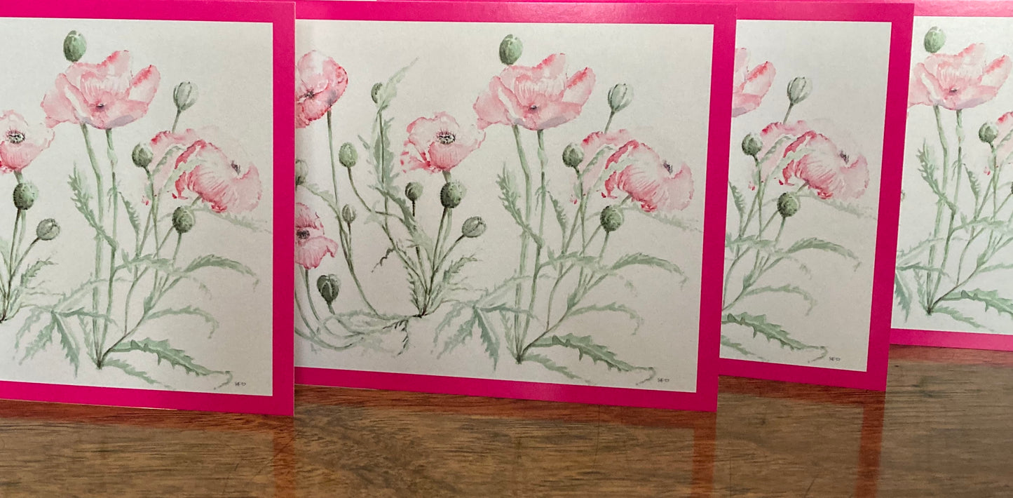 Set of 5 Pink Poppy Greeting Card