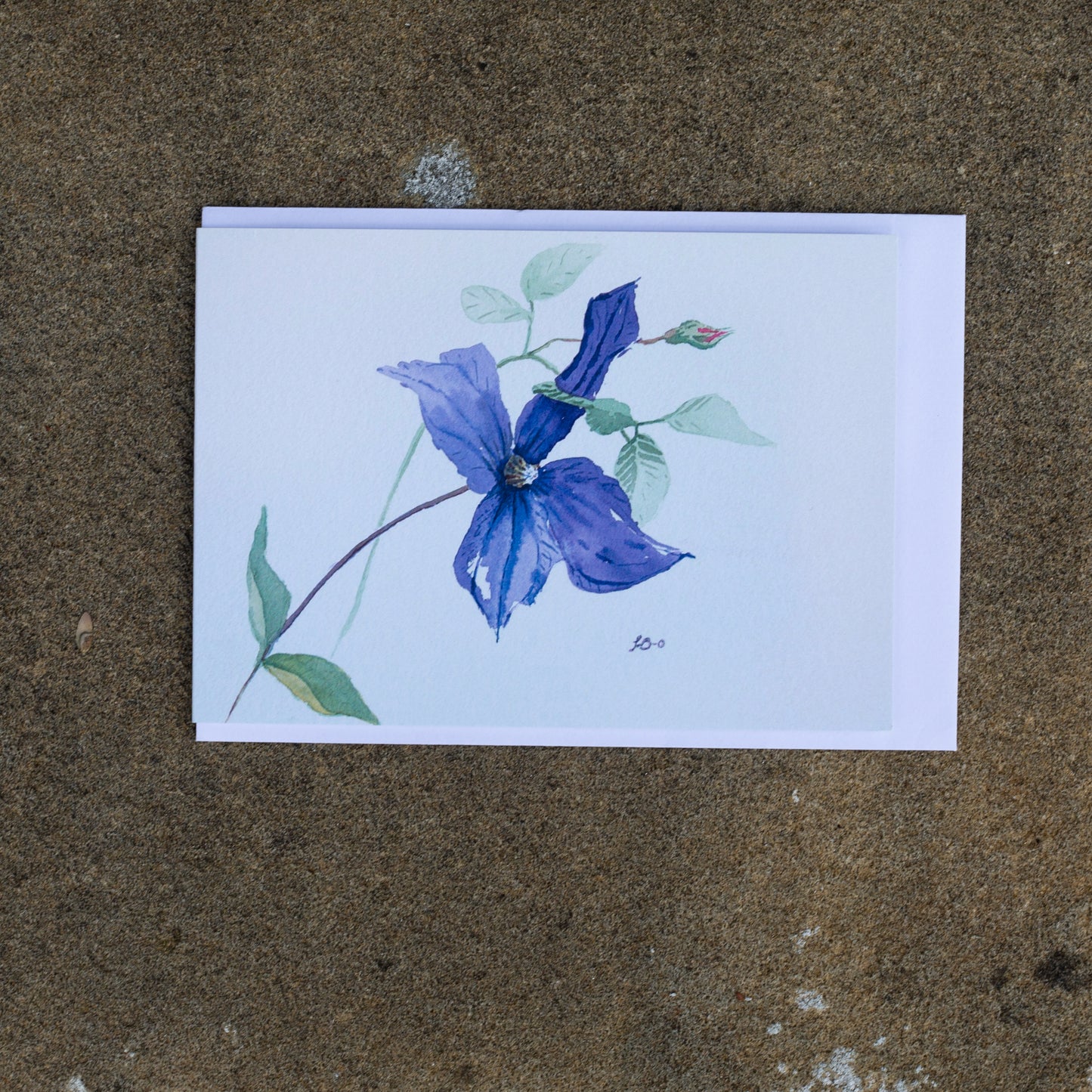 Set of 5 Clematis Durandii Greeting Cards