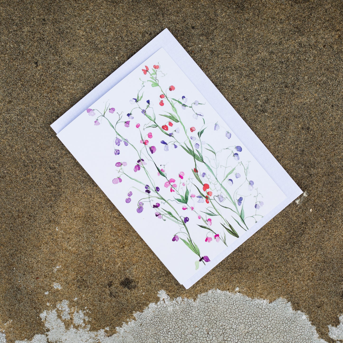 Set of 5 Greeting Cards - Sweet Peas