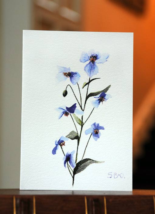Set of 5 Greetings Cards in Meconopsis Design