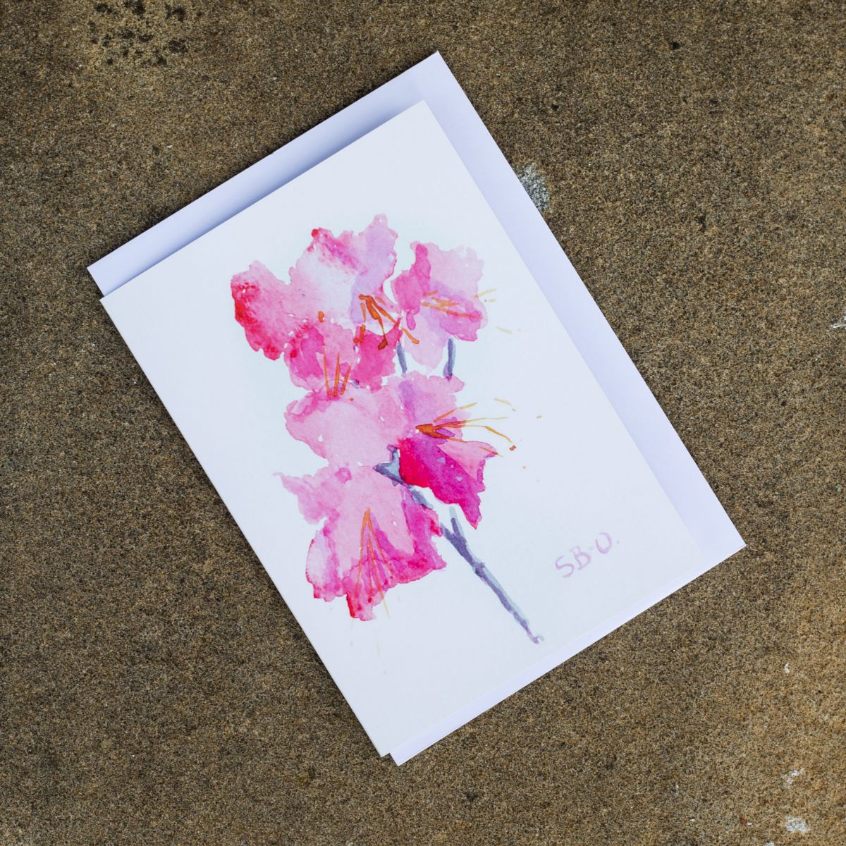 Set of 5 Greeting Cards - Pink Rhododendron