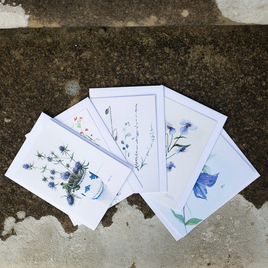 Set of 5 mixed Greeting Cards with envelopes