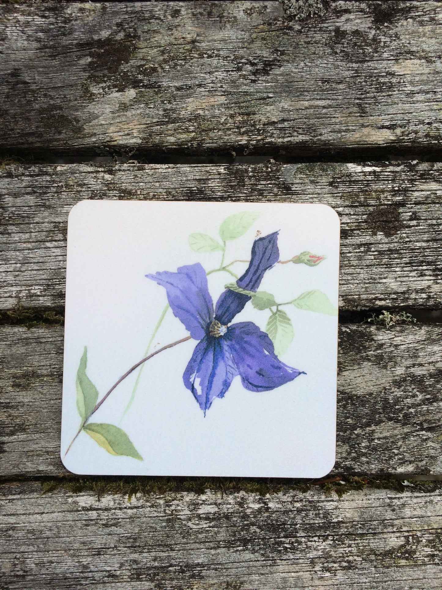 Mixed set of 6 coasters