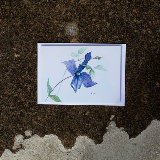 Set of 5 Clematis Durandii Greeting Cards