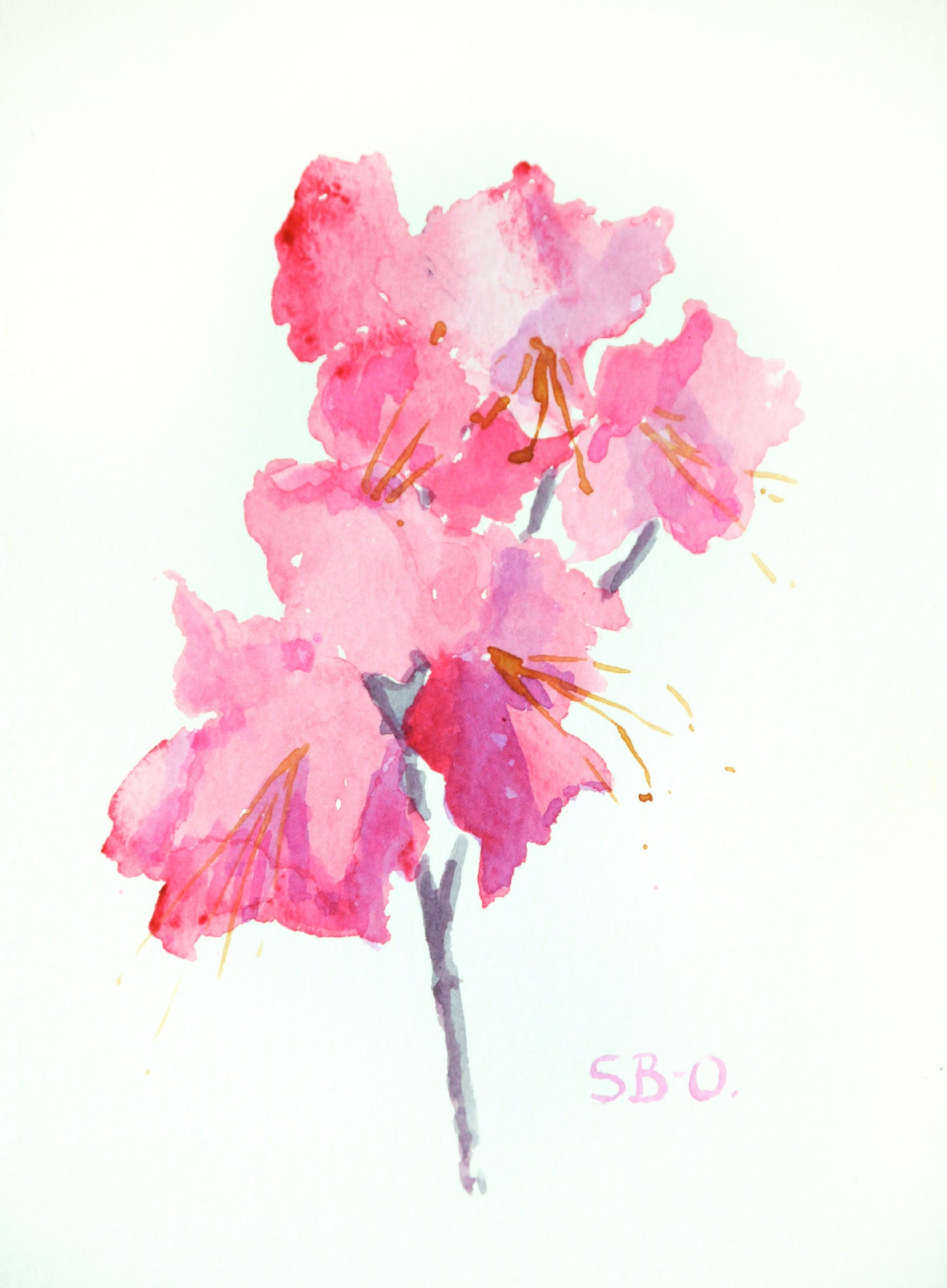 Set of 5 Greeting Cards - Pink Rhododendron