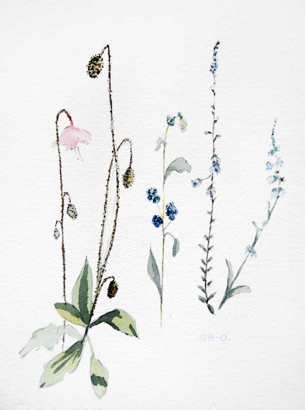 Set of 5 Greeting Cards - Mixed Spring flowers