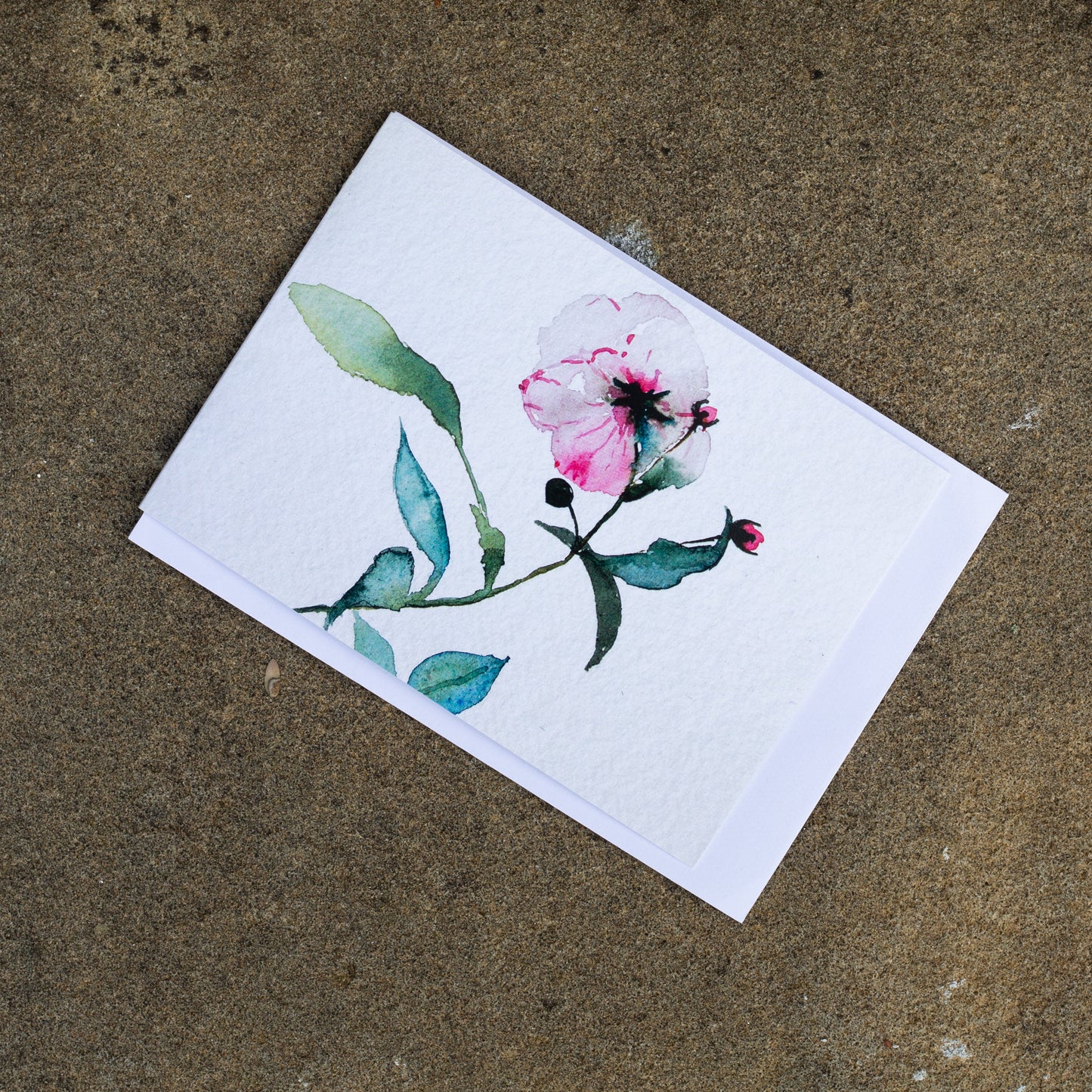 Set of 5 Greetings Cards Summer Rose I