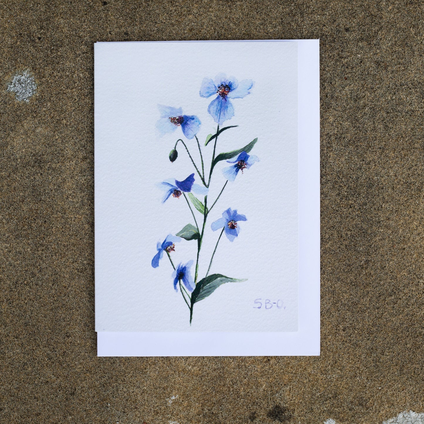 Set of 5 Greetings Cards in Meconopsis Design