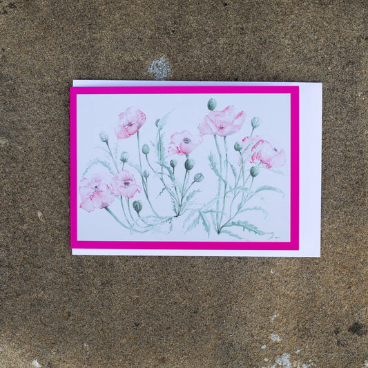 Set of 5 Pink Poppy Greeting Card