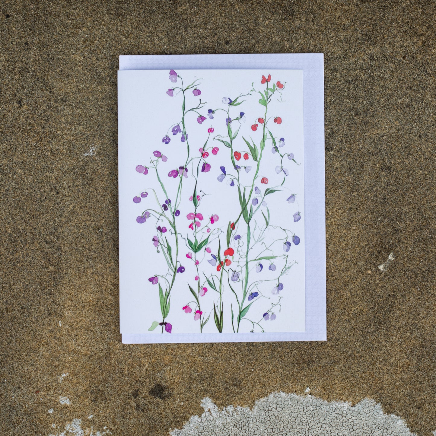 Two Sheets of sweet pea wrapping paper & Two Gift Tags