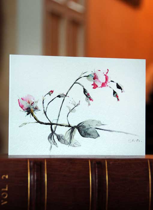 Set of 5 Greeting cards - Early Rose