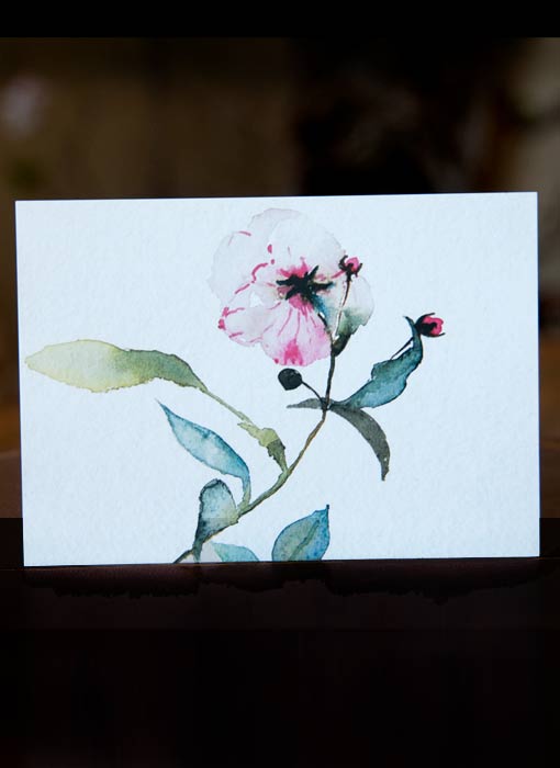 Set of 5 Greetings Cards Summer Rose I